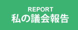 私の議会報告